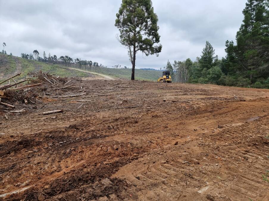 The exact area of land cleared by Forestry Corporation is yet to be confirmed, but the incident has raised concerns in those closest to the Bundian Way project. Photo supplied