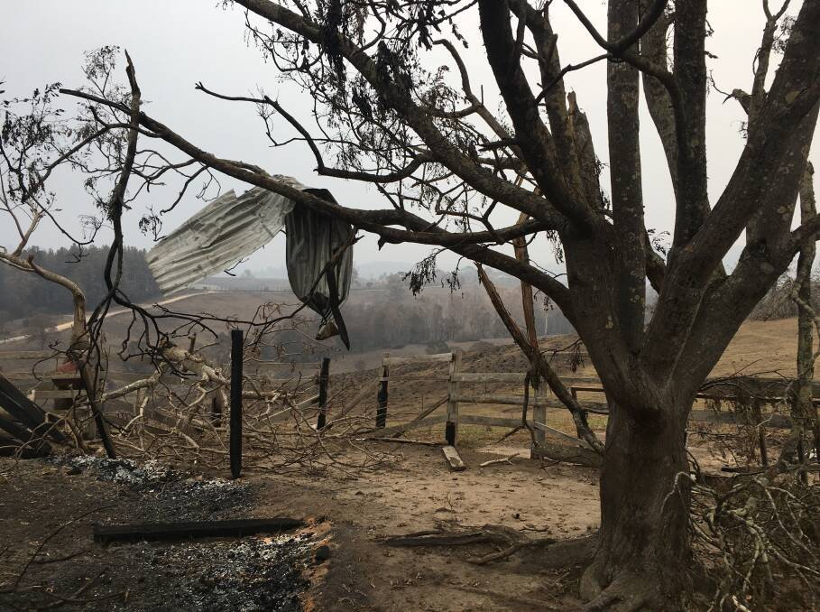Wandella, near Cobargo, after the 2019 South Coast bushfires