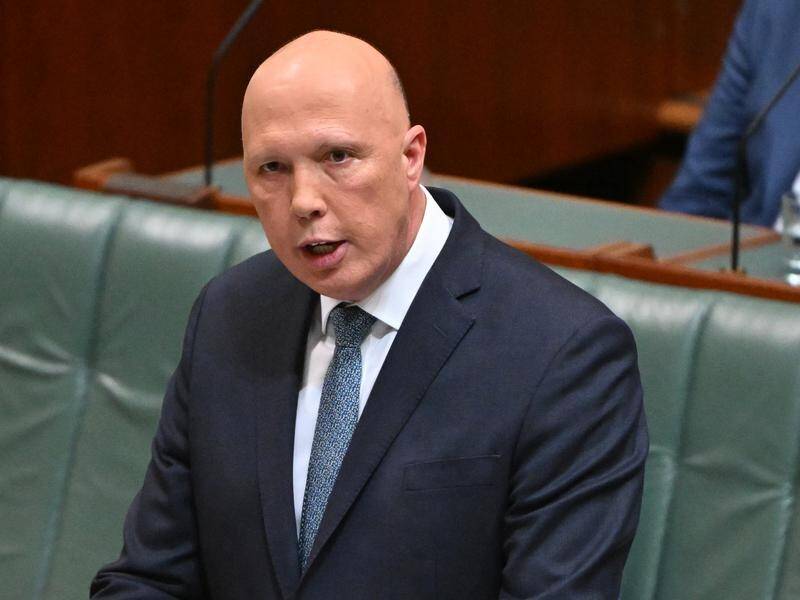 Peter Dutton says the government has "raised a white flag" on providing lower energy bills. (Mick Tsikas/AAP PHOTOS)
