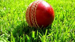 Financial fears for grassroots cricket