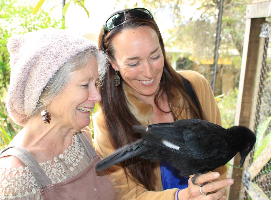 Inspiring women: Alexandra Seddon and local filmmaker Toni Houston with Chuff the white-winged chough at Potoroo Palace. Picture: Melanie Leach